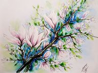 Magnolie Aquarell