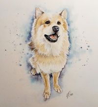 Hund Aquarell