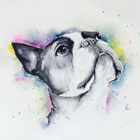 Bully Aquarell